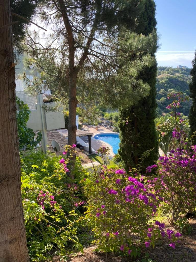 Spectacular Sea View Duplex Near Apartment *