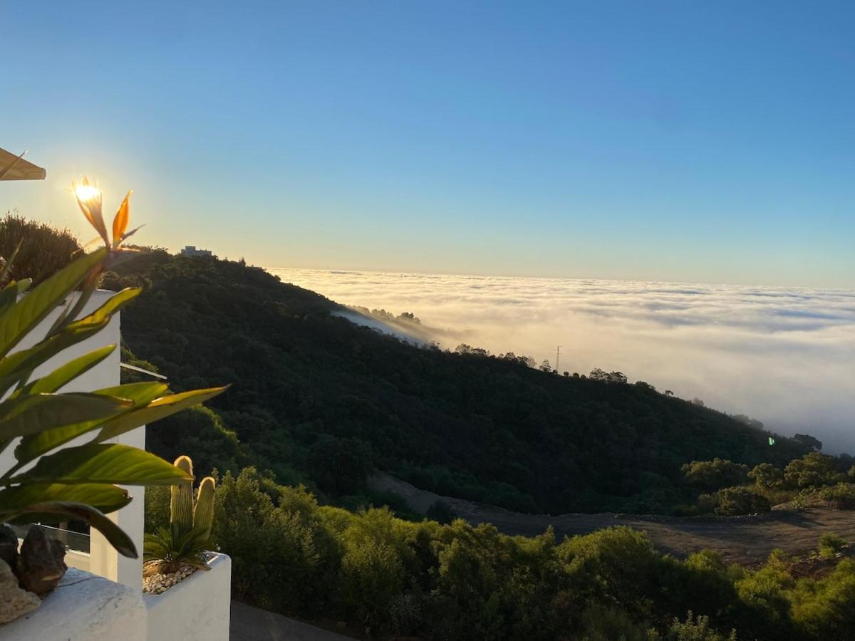 Spectacular Sea View Duplex Near Apartment *